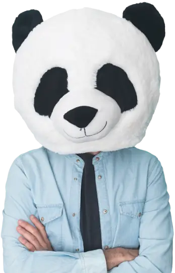 Person wearing a panda mask standing confidently against a teal wall